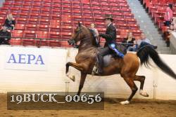 19BUCK_00656 proof