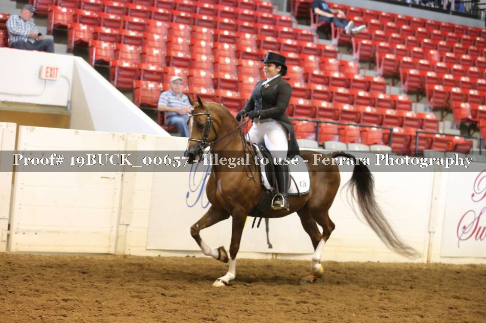 Proof 19BUCK_00657