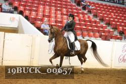 19BUCK_00657 proof