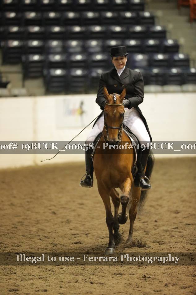 Proof 19BUCK_00658