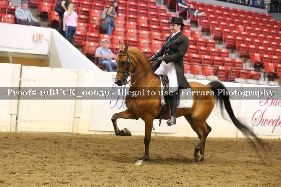 Proof 19BUCK_00659