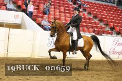 19BUCK_00659 proof