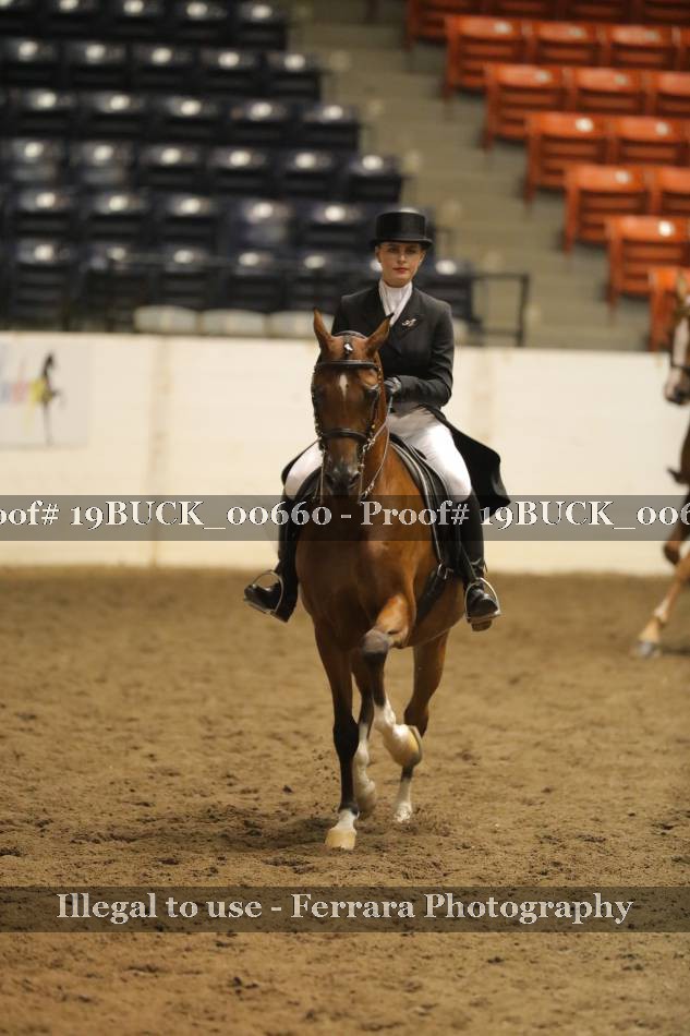 Proof 19BUCK_00660