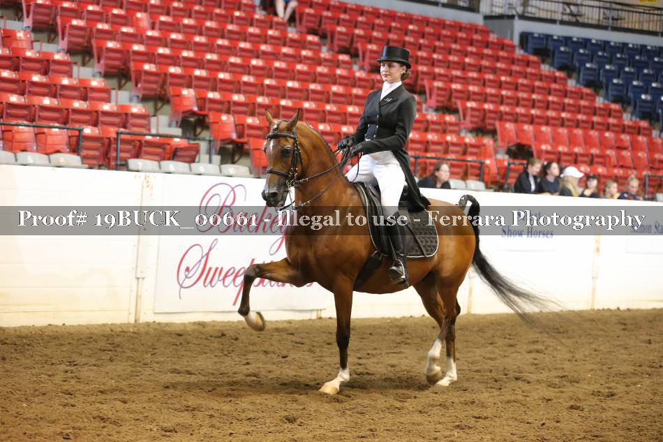 Proof 19BUCK_00661