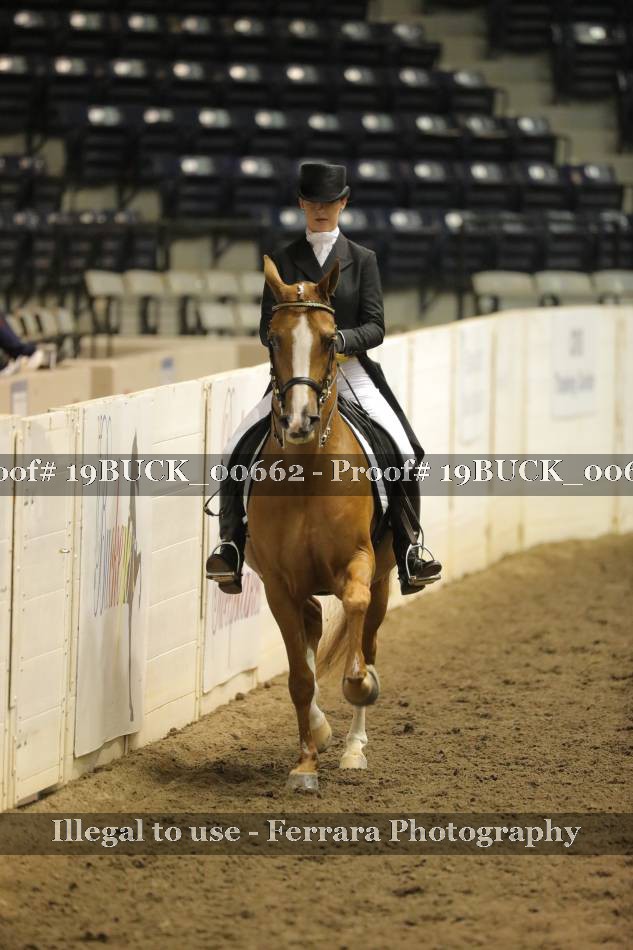 Proof 19BUCK_00662