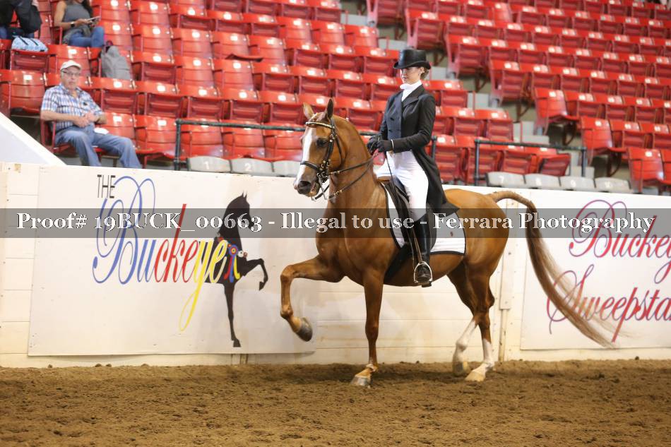 Proof 19BUCK_00663