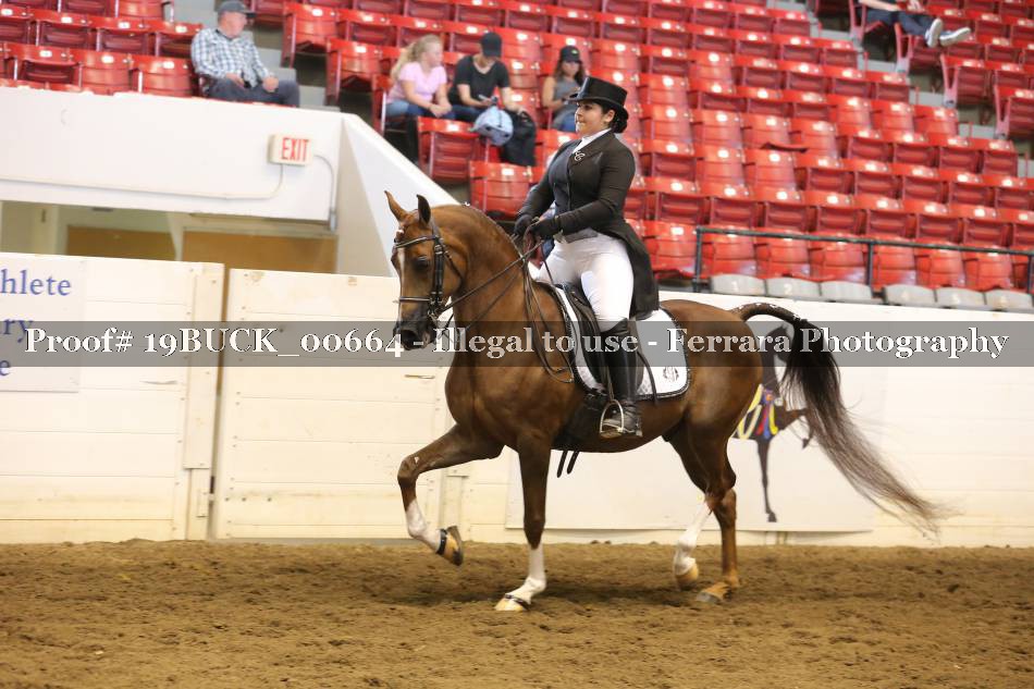 Proof 19BUCK_00664