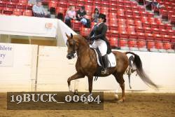 19BUCK_00664 proof