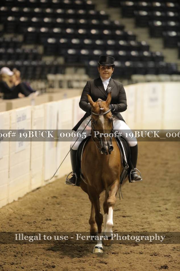 Proof 19BUCK_00665