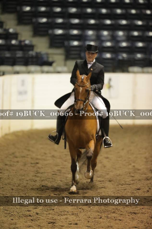 Proof 19BUCK_00666