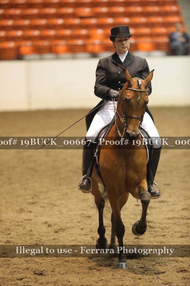 Proof 19BUCK_00667