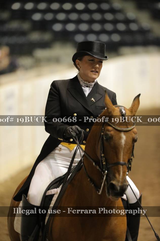 Proof 19BUCK_00668