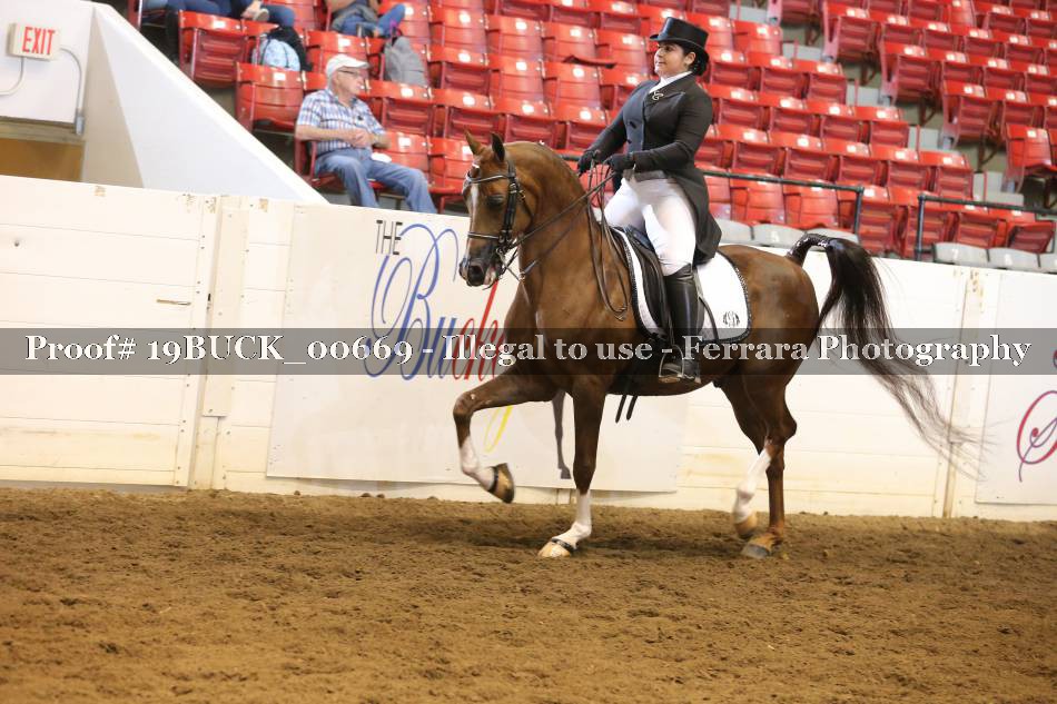 Proof 19BUCK_00669