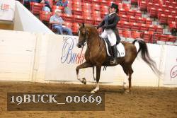 19BUCK_00669 proof