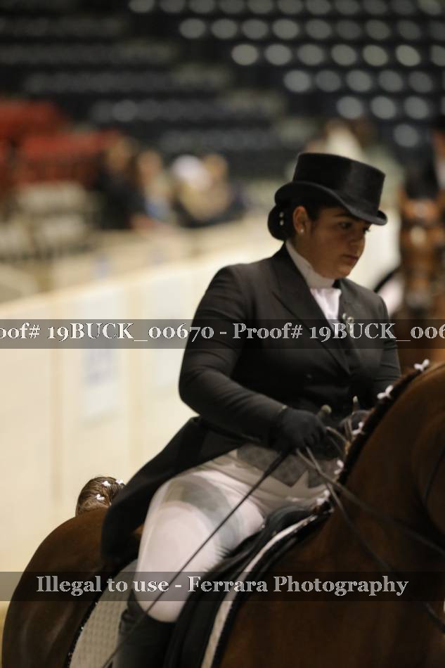 Proof 19BUCK_00670