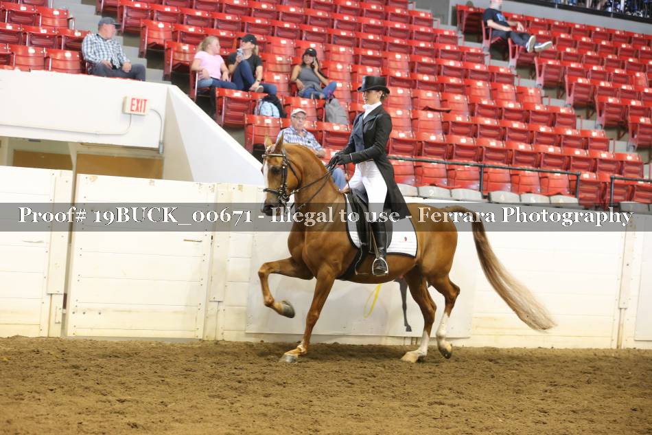 Proof 19BUCK_00671