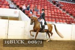 19BUCK_00671 proof