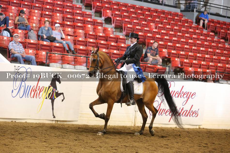 Proof 19BUCK_00672
