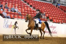 19BUCK_00672 proof