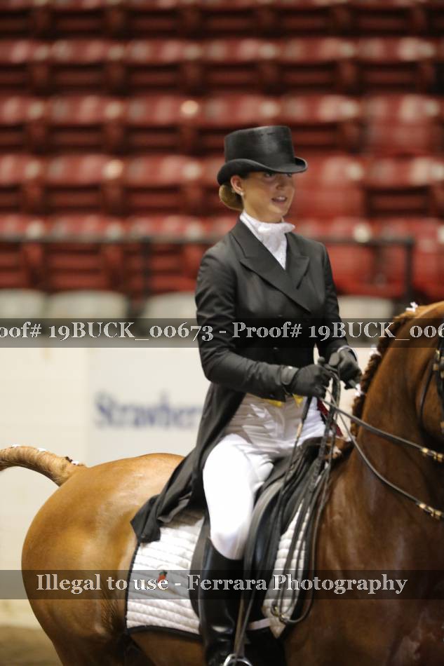 Proof 19BUCK_00673