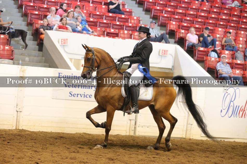 Proof 19BUCK_00674