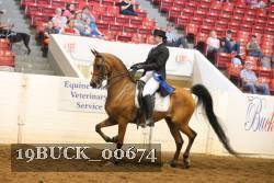 19BUCK_00674 proof