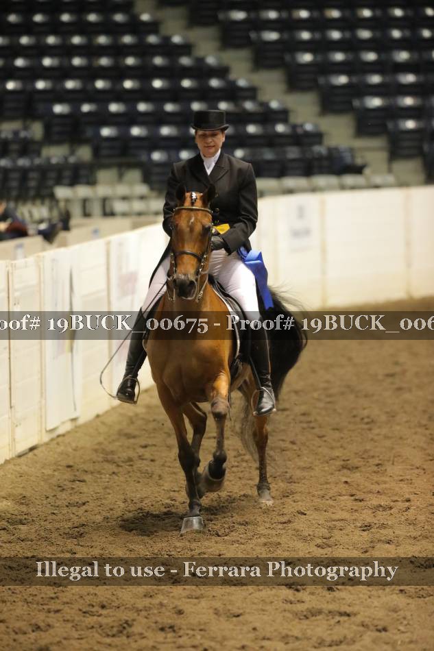 Proof 19BUCK_00675