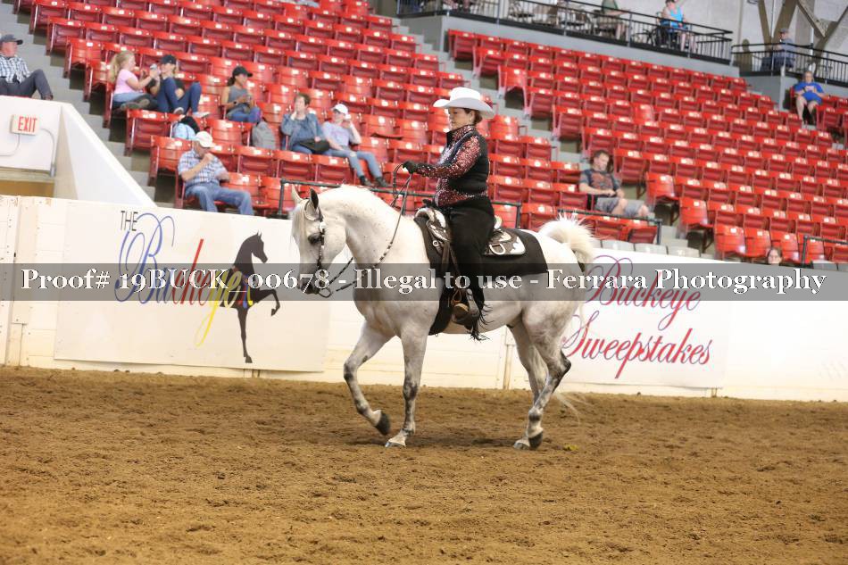 Proof 19BUCK_00678