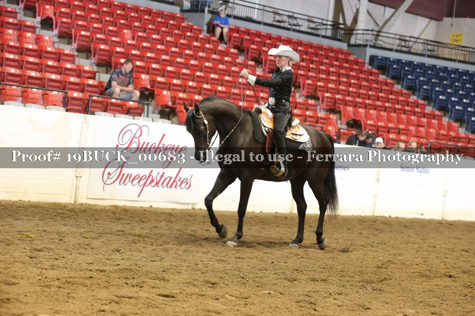 Proof 19BUCK_00683