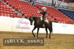19BUCK_00683 proof
