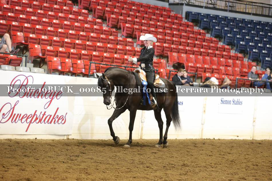 Proof 19BUCK_00685