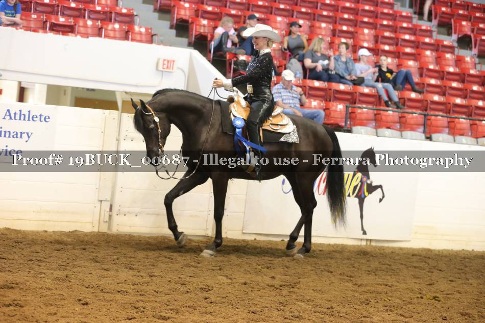 Proof 19BUCK_00687