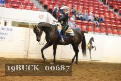 19BUCK_00687 proof