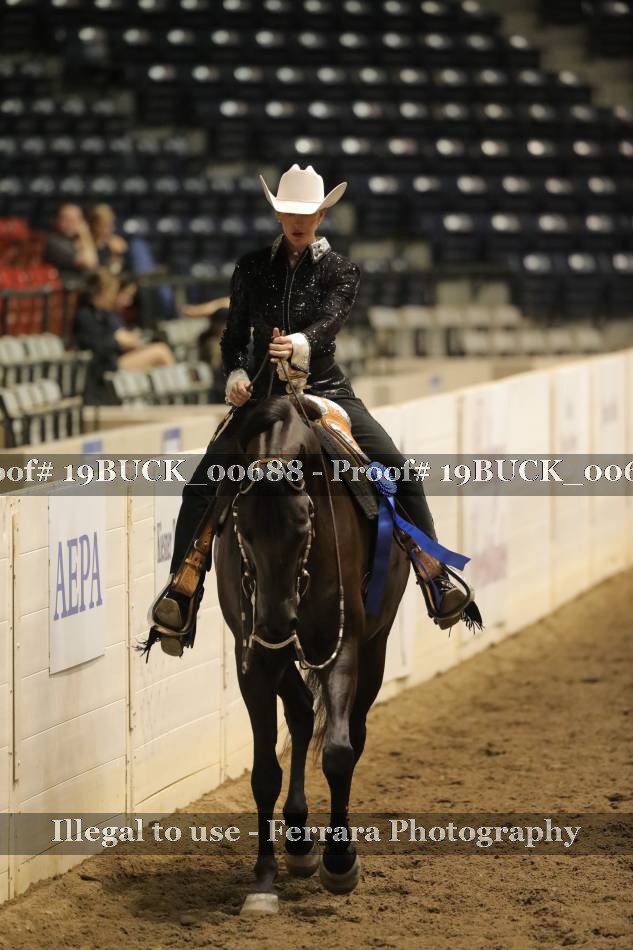 Proof 19BUCK_00688