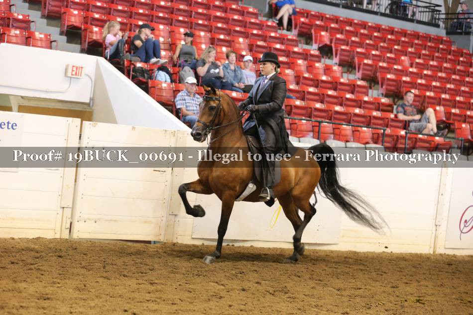 Proof 19BUCK_00691