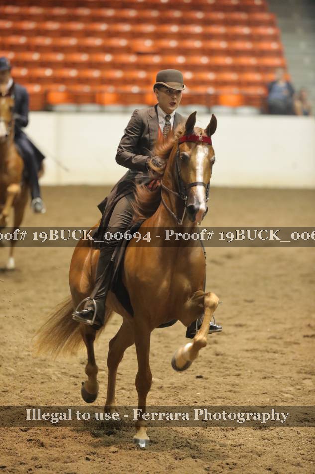 Proof 19BUCK_00694