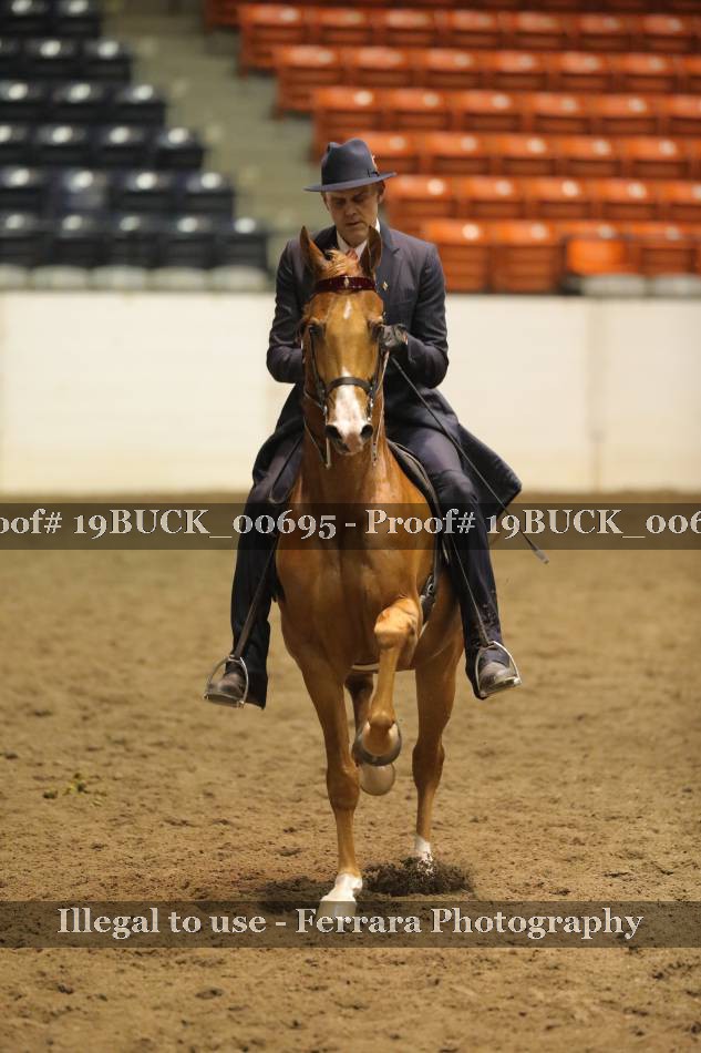 Proof 19BUCK_00695
