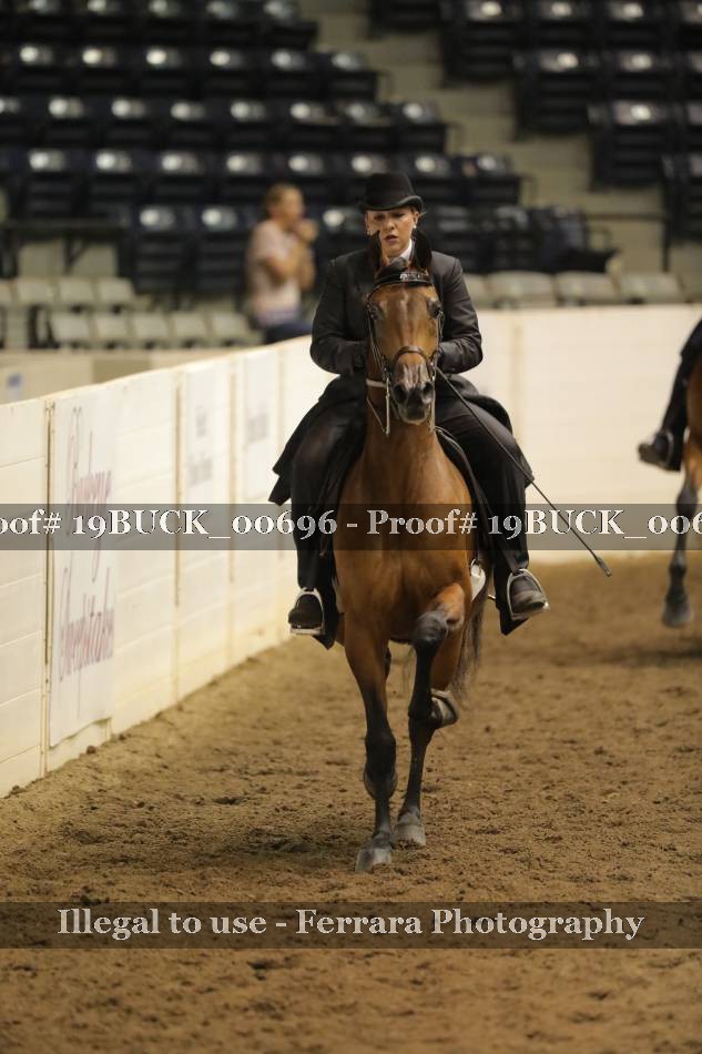 Proof 19BUCK_00696