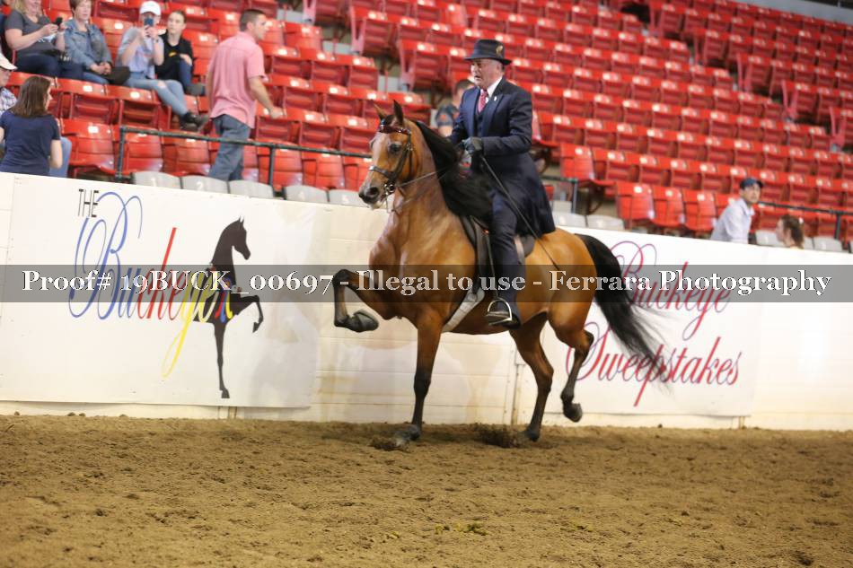 Proof 19BUCK_00697