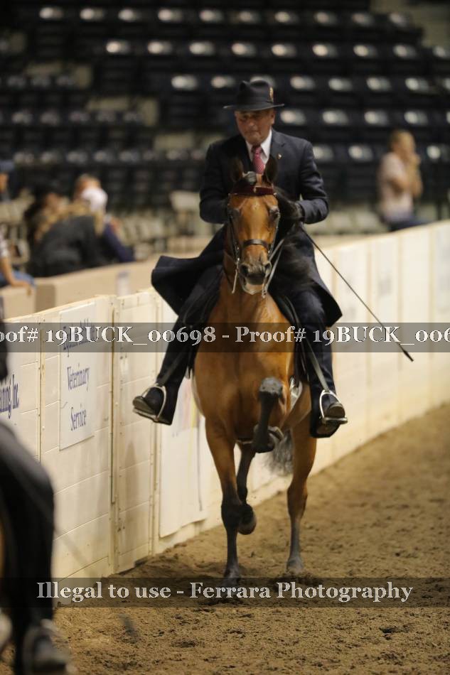 Proof 19BUCK_00698