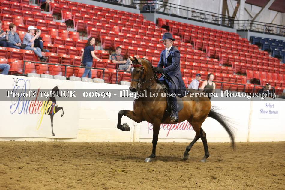 Proof 19BUCK_00699