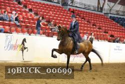 19BUCK_00699 proof
