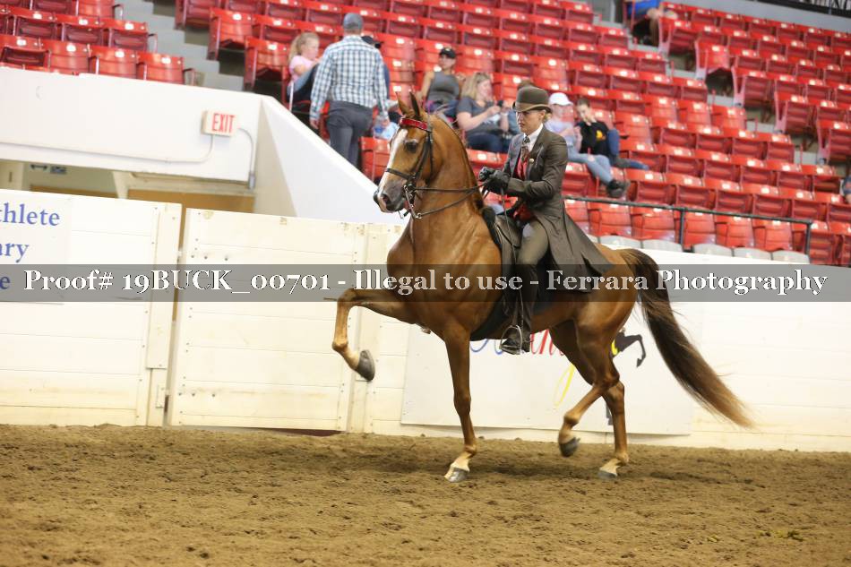 Proof 19BUCK_00701