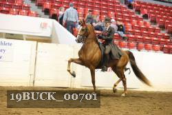 19BUCK_00701 proof