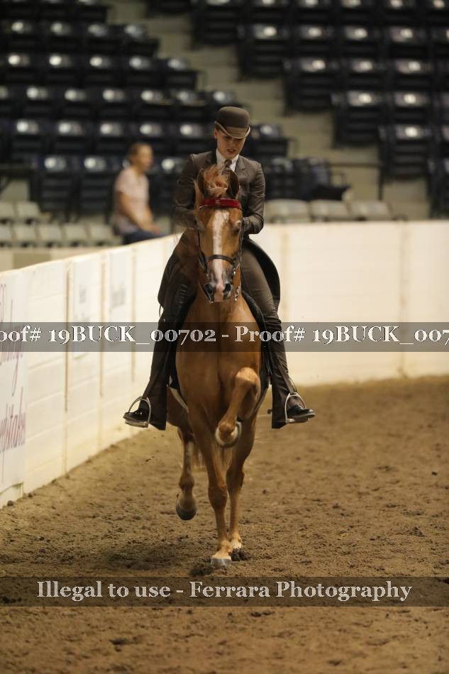 Proof 19BUCK_00702