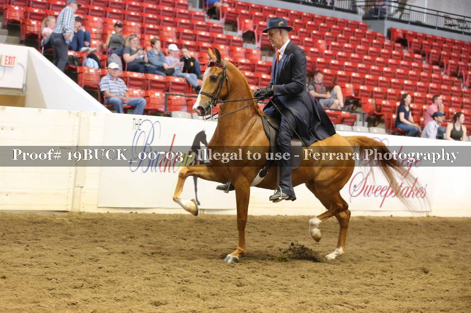 Proof 19BUCK_00703