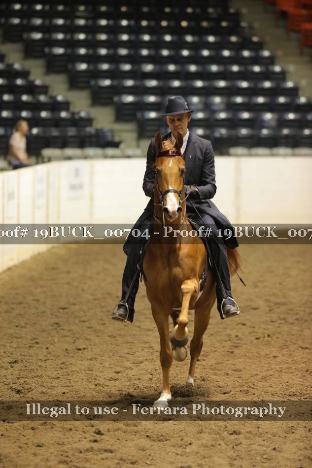 Proof 19BUCK_00704