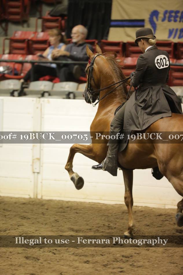Proof 19BUCK_00705