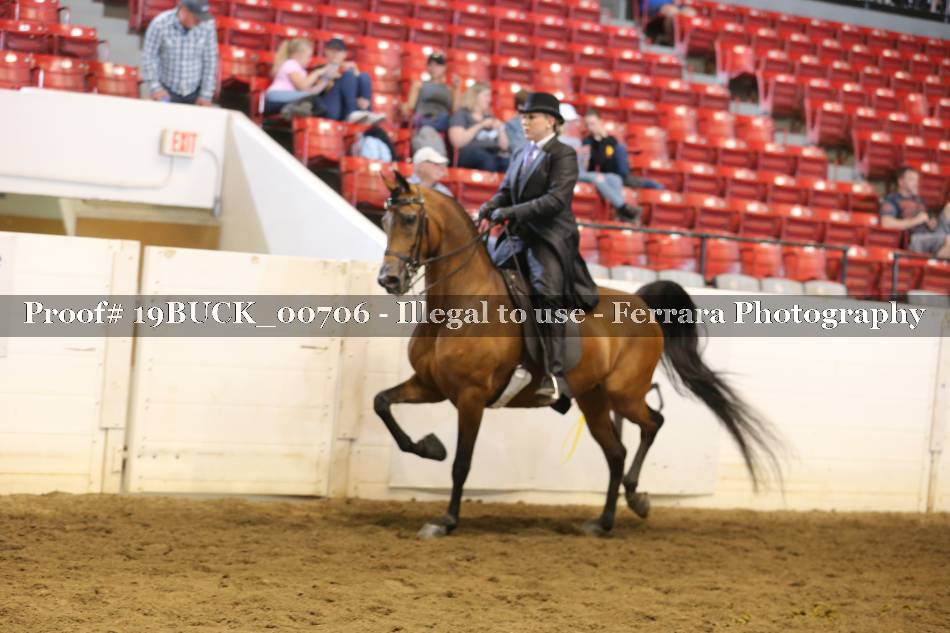 Proof 19BUCK_00706