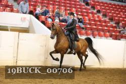 19BUCK_00706 proof